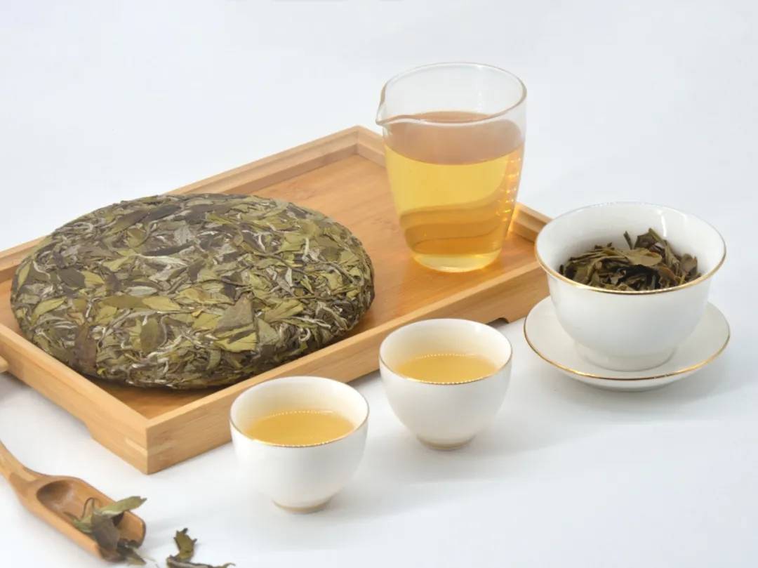 原料|鼎泰昌福鼎白茶,为运动健儿打call