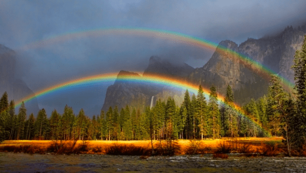 受体|肝癌患者用仑伐替尼还是阿帕替尼好？