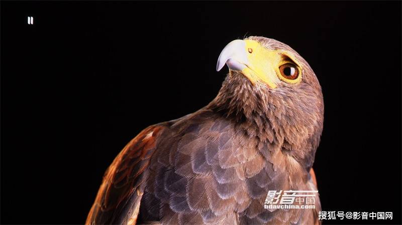 方面|BenQ i985L：迈进另一个阶段的三色激光强作