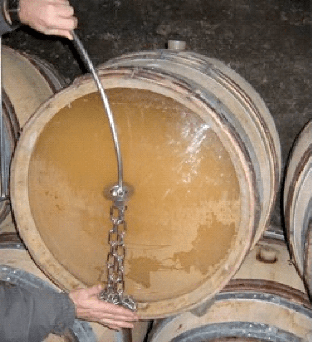 木桶|别卡速：格鲁吉亚葡萄酒品酒师课程（七）