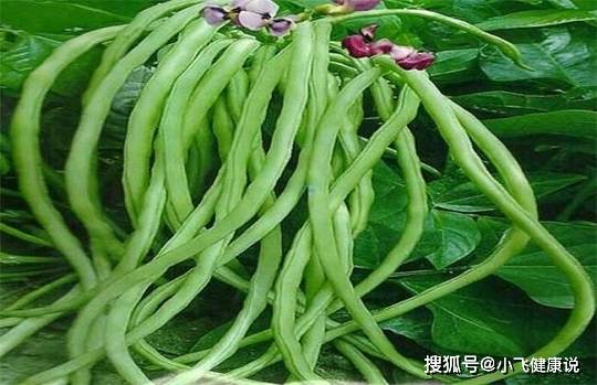 常见的豆角有什么营养价值呢?什么人不应该吃?别独享哦