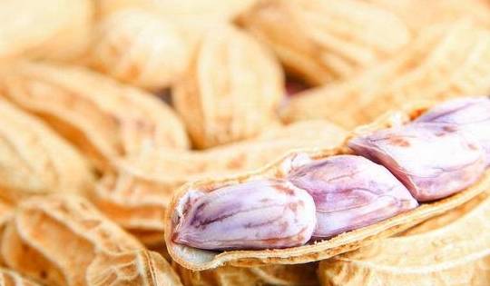 大脑|增强记忆力的食物被发现，这8种有效提高记忆力，第7种不能多吃