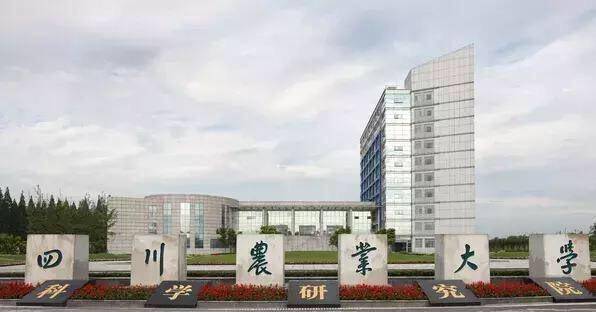 陕西理工大学排名_陕西理工大学