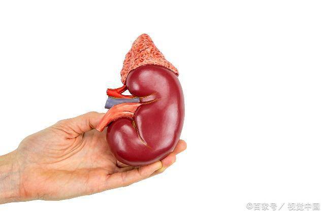 机体内|你的肾被伤得多深？出现这4个求救信号，别再说没毛病了