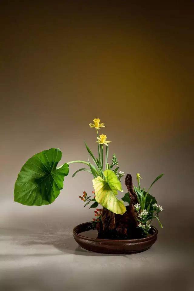 看清代"花痴"如何玩转瓶插,盆景~_插花