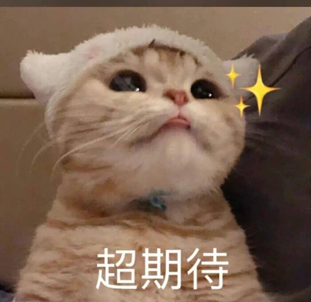 献礼|《名侦探学院4》完美收官！蒲熠星床位竟成观光区 学长们献礼感谢光明村