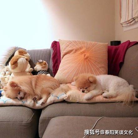 原创最近微信很火的个性签名，点击率超高，发朋友圈必赞！
