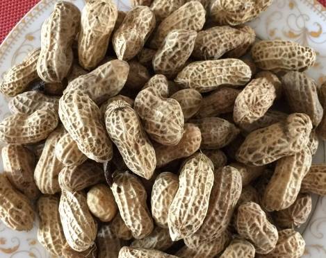 美食|婆婆来看孙子，家里的早餐变成了这样，幸福指数直线上升，好有爱