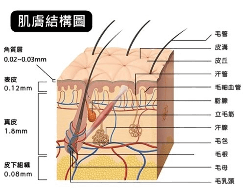 补充|可怕!护肤手法不对会把皱纹抹出来!