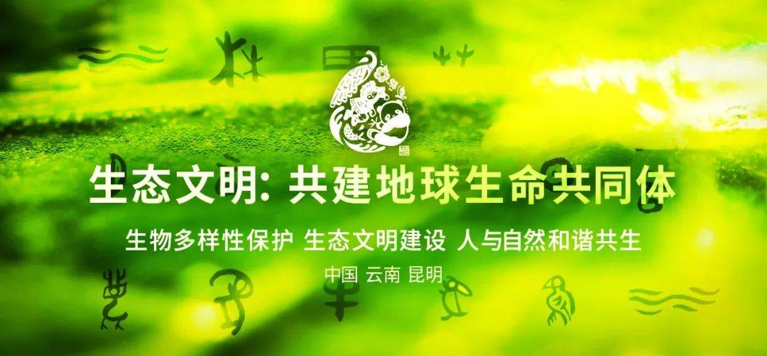 中标数梦工场支撑联合国生物多样性大会cop15应急保障