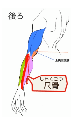 原創男性肌肉怎麼畫掌握基本人體結構人體肌肉怎麼畫都好看