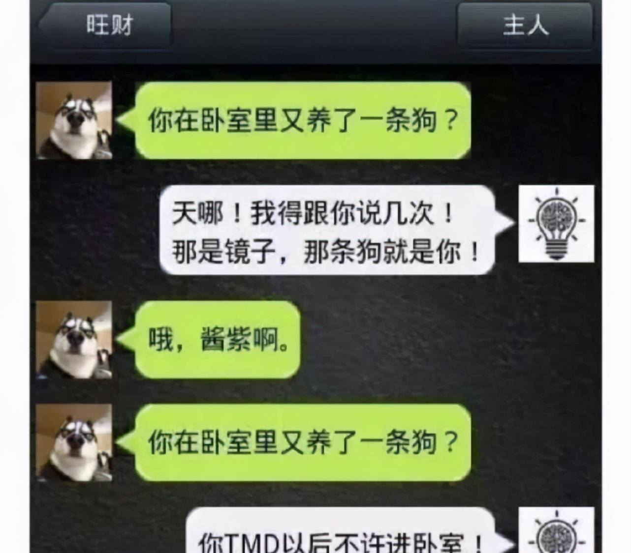 意思|如果哈士奇会发微信会怎样？哈哈不愧是二哈，有被笑到