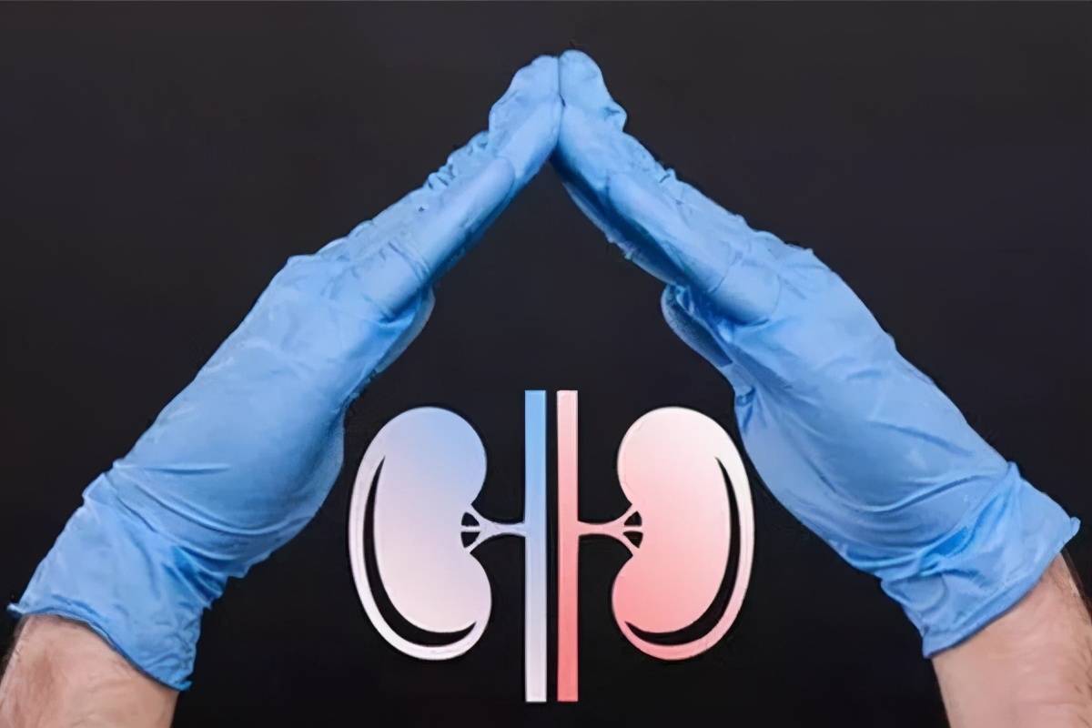 补充|昆明中研医院：甲减和很多疾病都是有关系的，下面让我们一起来了解下吧