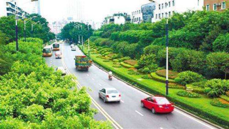 重庆最特殊的道路，绿化带面积比马路还要宽，网友：重要精神象征