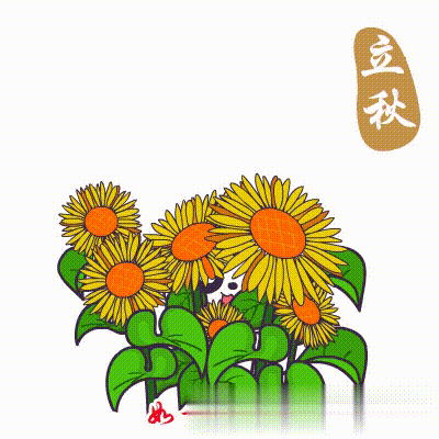 原创2021年特别漂亮的立秋早上好表情包立秋早安问候祝福语动态表情