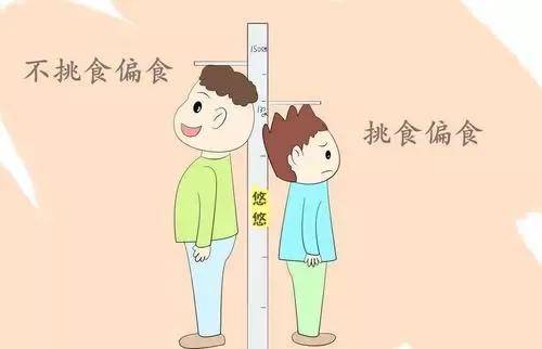 蔬菜|美食之约 味你而来——这才是一日三餐的正确打开方式