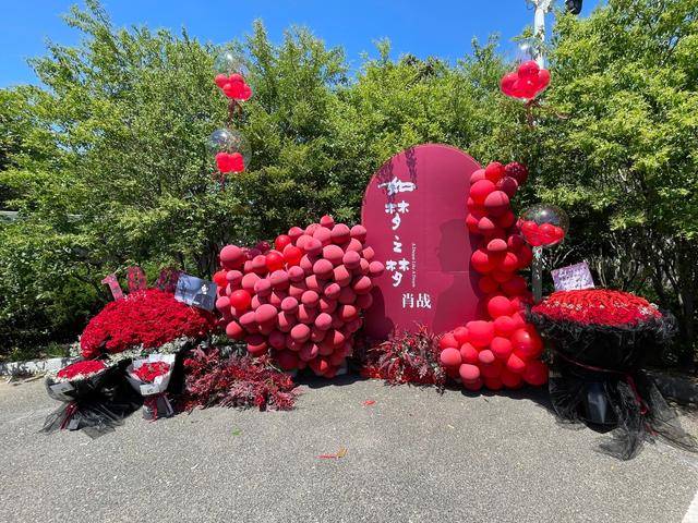 卫视|肖战粉丝“壮举”出圈！权威官方公布肖战“新行程”，用意太暖心！