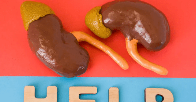 种类|哪些肾病相对好控制,哪些又比较难处理?排行榜出炉