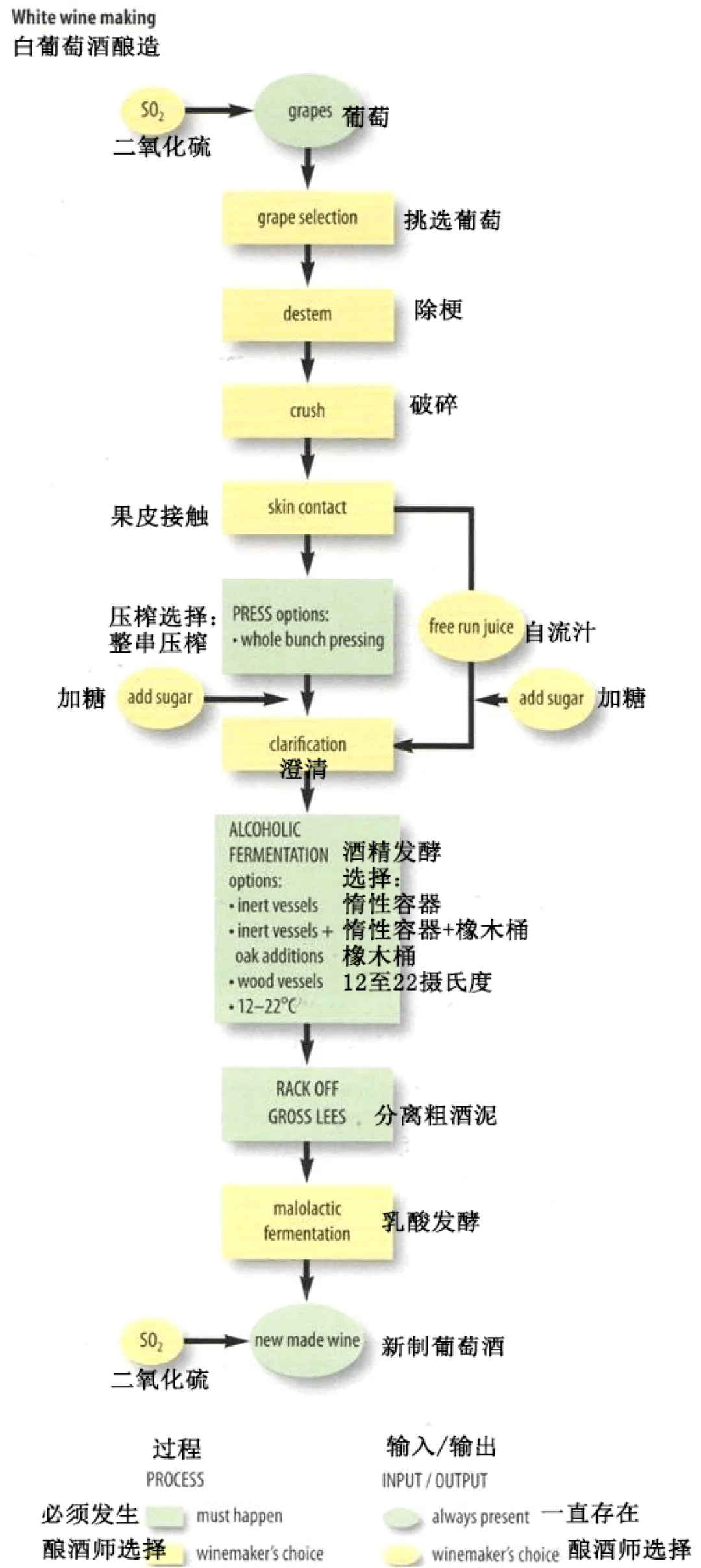 方法|别卡速：格鲁吉亚葡萄酒品酒师课程（十一）