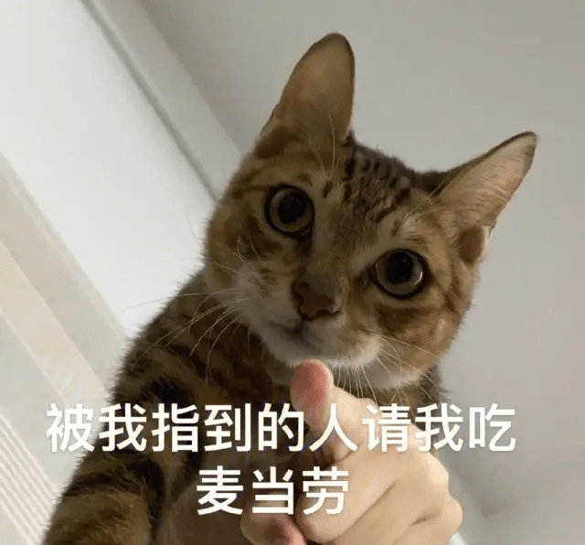 金盏花|想要人群中一眼看到你？选对这几个颜色，谁穿谁美