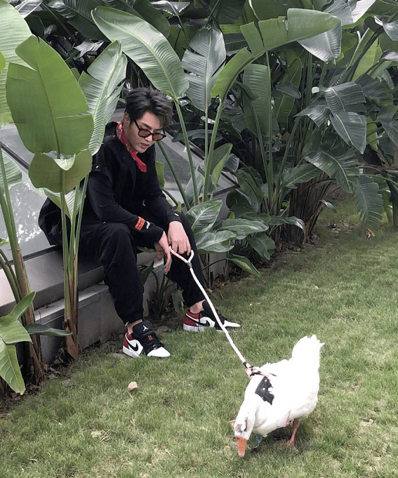 形象|有种“时尚”叫吴亦凡溜鹅，男模打扮帅出新高，一般男星真做不到