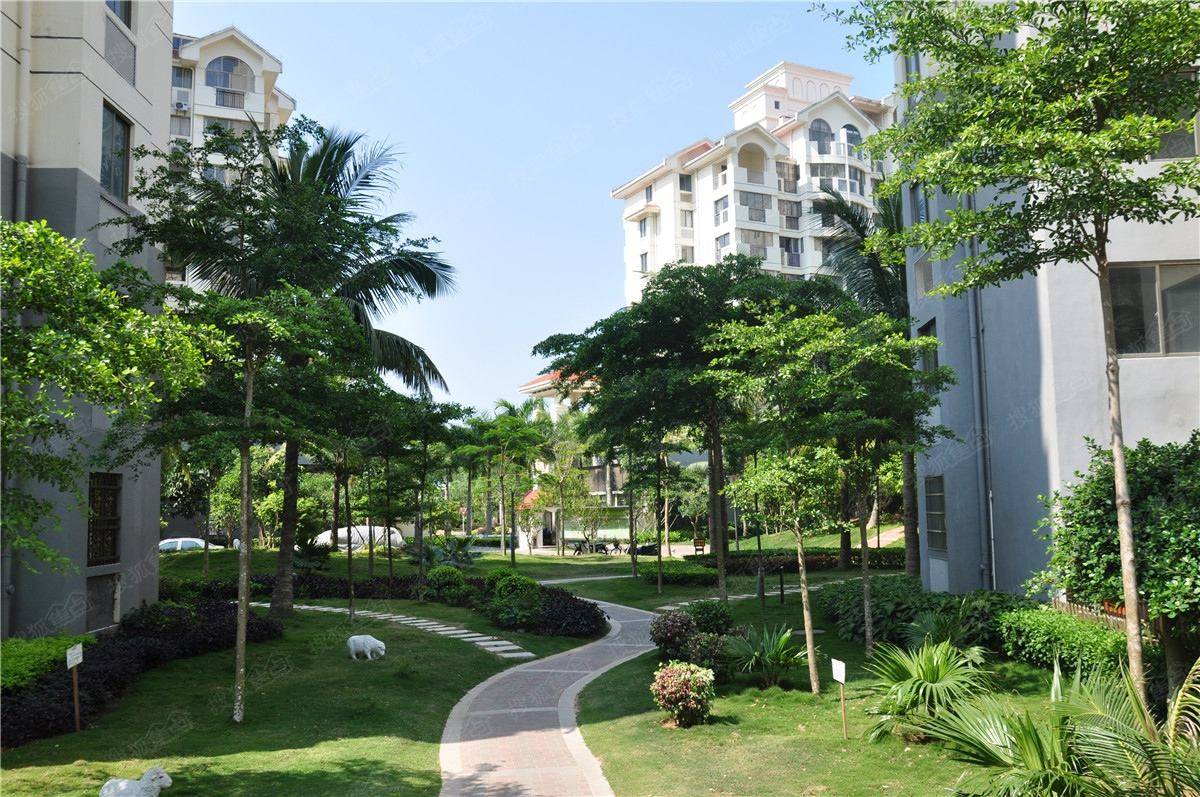 地方|三胎放开年轻人仍不愿意生？专家提出新建议，你会选择继续生吗？