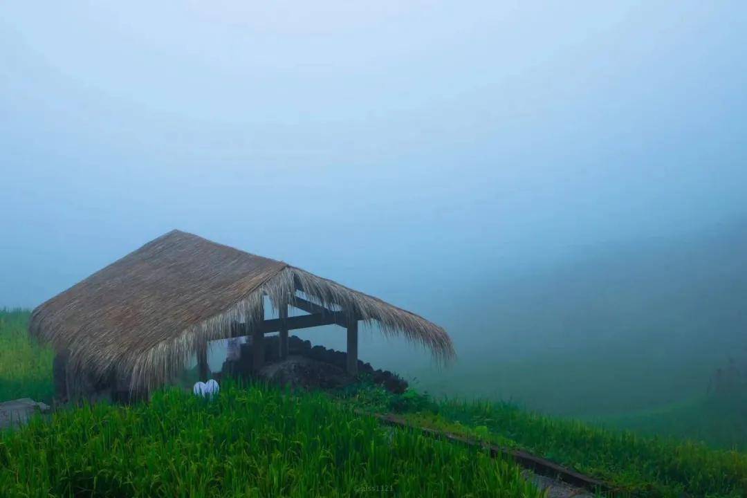 云和|立秋 | 暑热将褪 忽而入秋