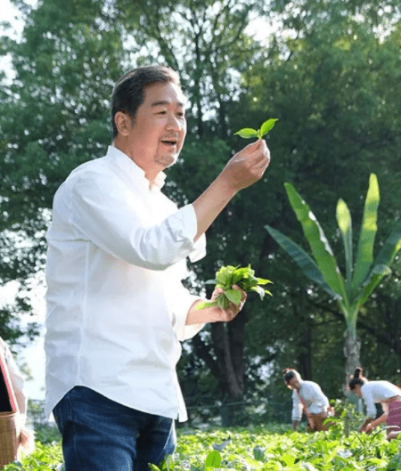 福鼎|这些爱喝白茶的明星，除了懂生活，还收获了几个好处