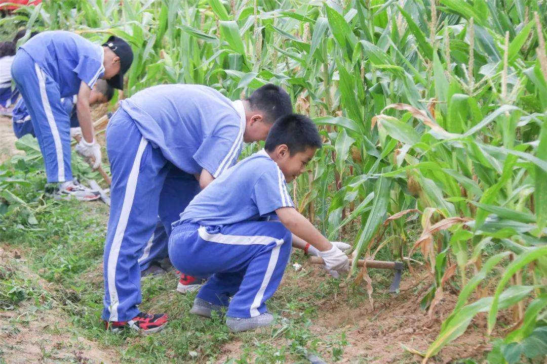 鋤頭|研學印記｜最美的課堂在路上——德琳學校