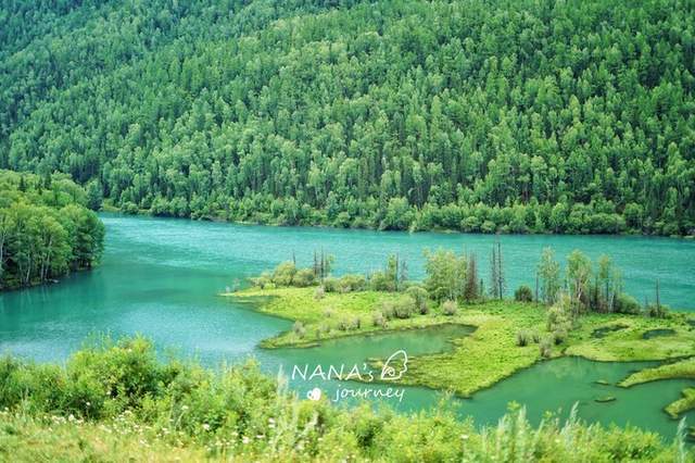 新疆喀纳斯最招牌的景点，进景区必经过的美丽河湾，如同仙境
