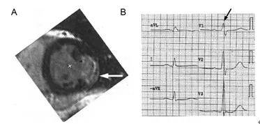 9ae4f8ff2bea429396665f8a5cad31c8.jpeg