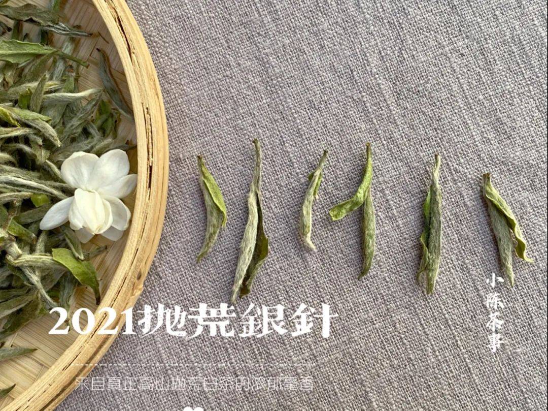 沸水|85℃热水与100℃沸水，哪个水温更适合白茶？你喝对了吗？