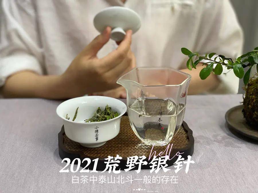 沸水|85℃热水与100℃沸水，哪个水温更适合白茶？你喝对了吗？