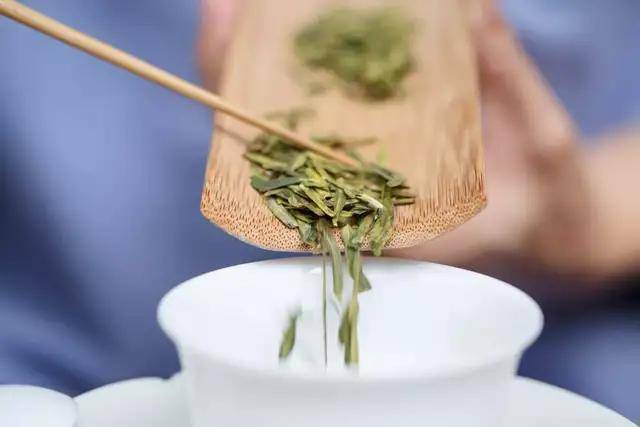 人体|茶情丨夏天喝茶指南，请收好
