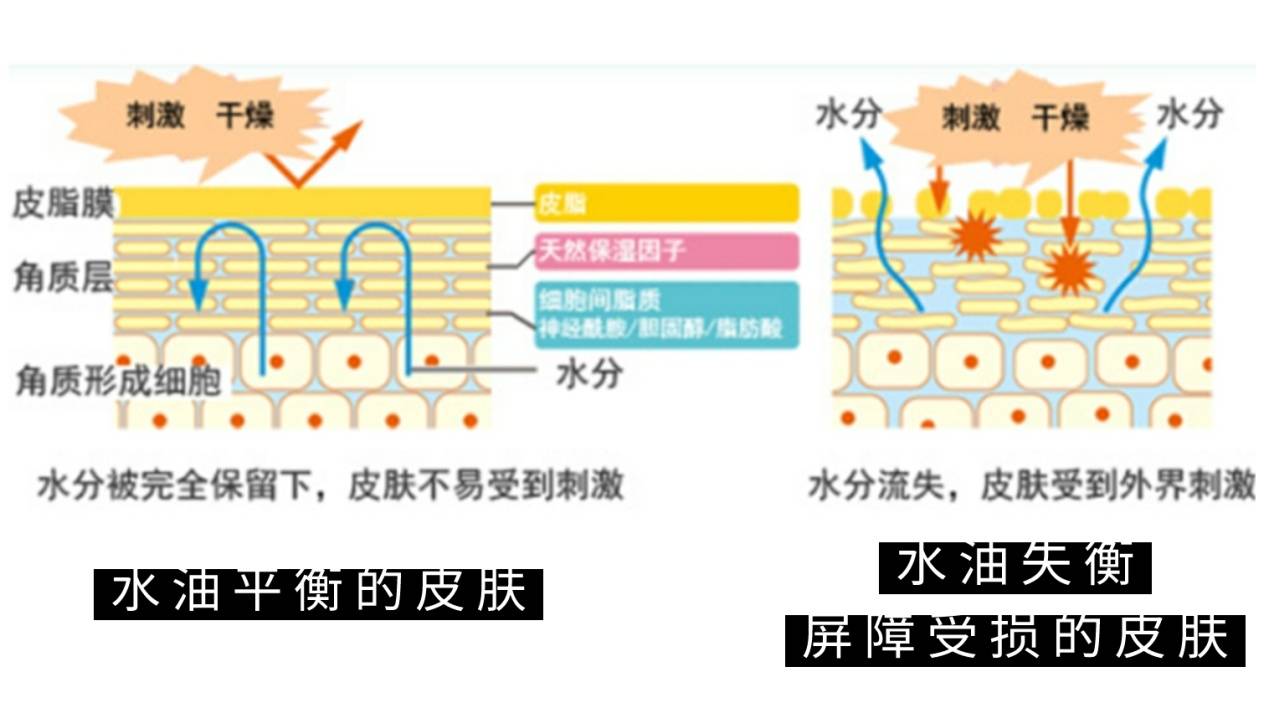 头皮|健康头皮守护专家，魔拉格科学洗护为您保驾护航