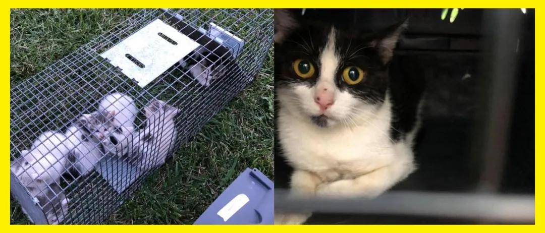 亘古不变的只有风是什么梗 4caea1772af6417f93d91448d00de24f.jpeg