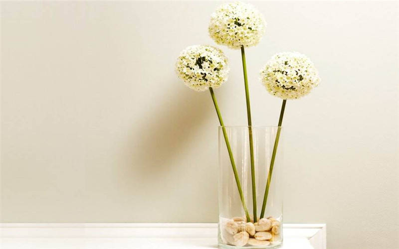 8月13日生肖运势旺 财运