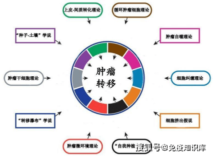怎么样可以提高肝代谢 e13ba5cb4bbf49878f39a72e0d68bd82.png