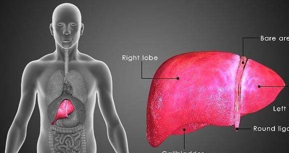 状况|肝不好的人,早餐过后,会有这4个症状,有第2种,就尽早去检查下