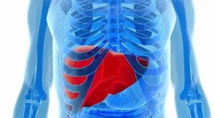 治疗|婚后发现婆家多人乙肝，爱人是大三阳，该怎么办？听听医生怎么说