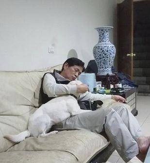 老爸不同意養路邊野狗，不出幾個月卻深陷其中！ 萌趣萌寵 第2张