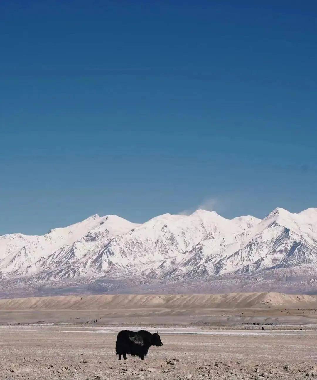 景区|夏日进度过半！这些小众避暑旅游地，快种草！