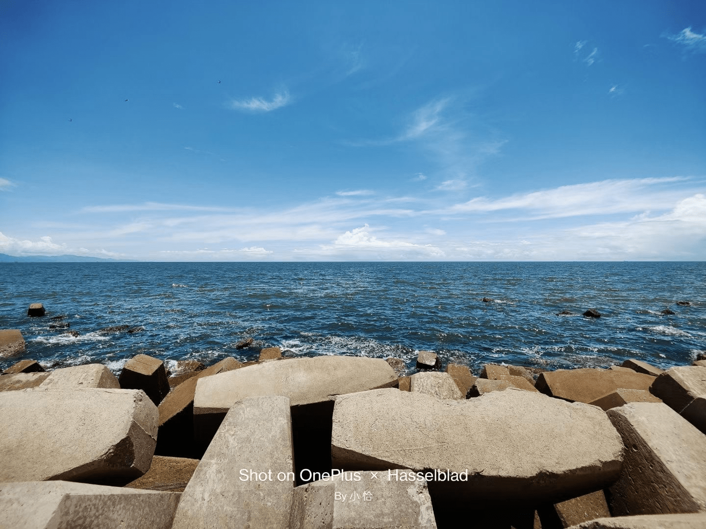 b7ca657f7bc34f60954543a965da50b2.png