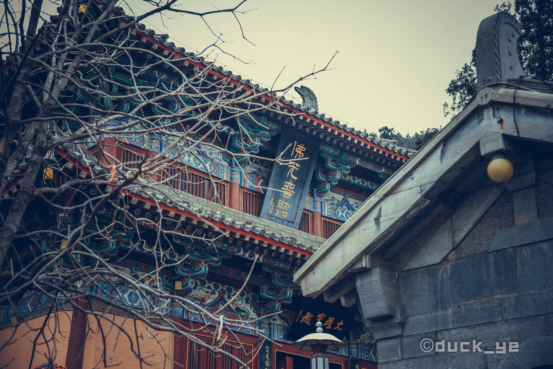 原创龙门石窟再出圈七夕奇妙游带你走进中国石刻宝库不仅是石窟