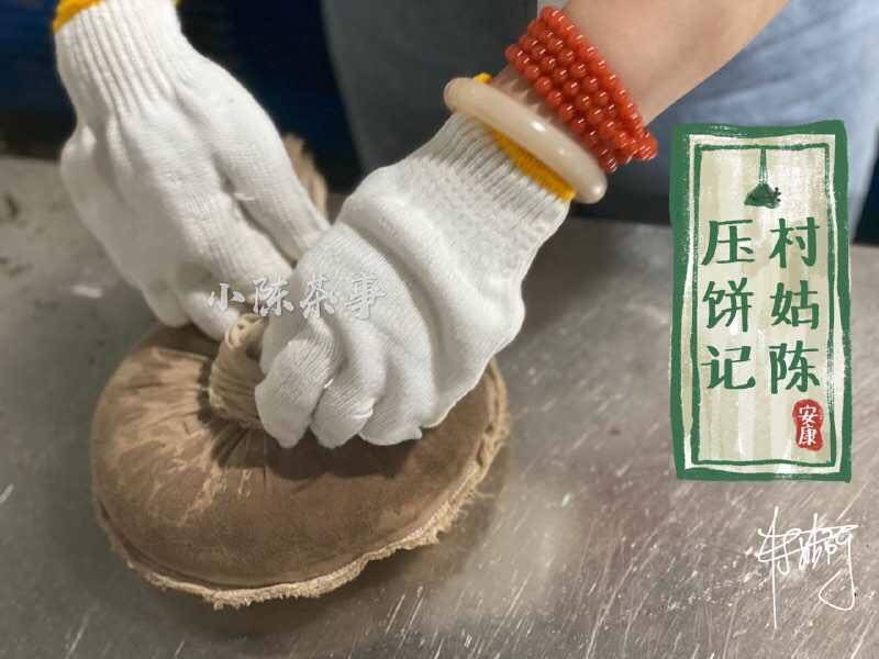 养分|长期收藏白茶，选散茶还是饼茶？两者的转化速度有快慢之分吗？