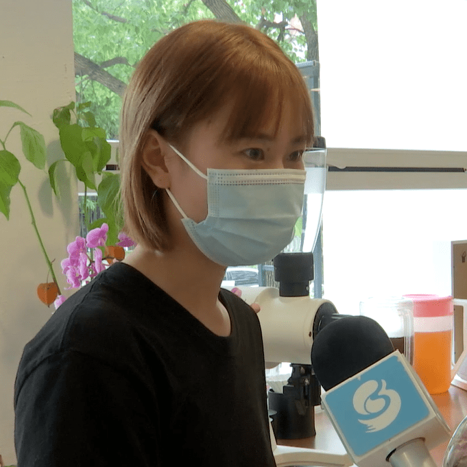 情侣|迢迢牵牛再相会！宝山情侣以花寄情