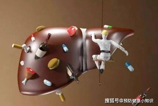 食物|全身出现7种信号时,肝脏或已“硬如石头”,医生:快来做肝检查