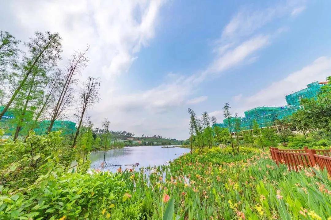 為向業主們呈現更完美的水杉溼地公園美景,溪谷在原溼地公園的基礎上