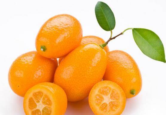a373a7e737a642548519074c9dba77d0.jpeg