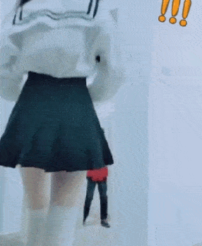 什么|神回复：这是什么品种啊，这是猪还是羊？